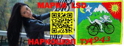 шишки Ирбит