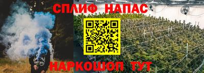 шишки Ирбит