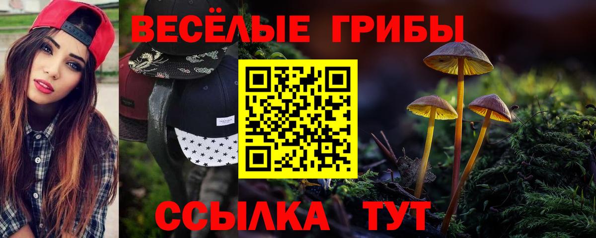 Псилоцибиновые грибы Magic Shrooms Кувандык