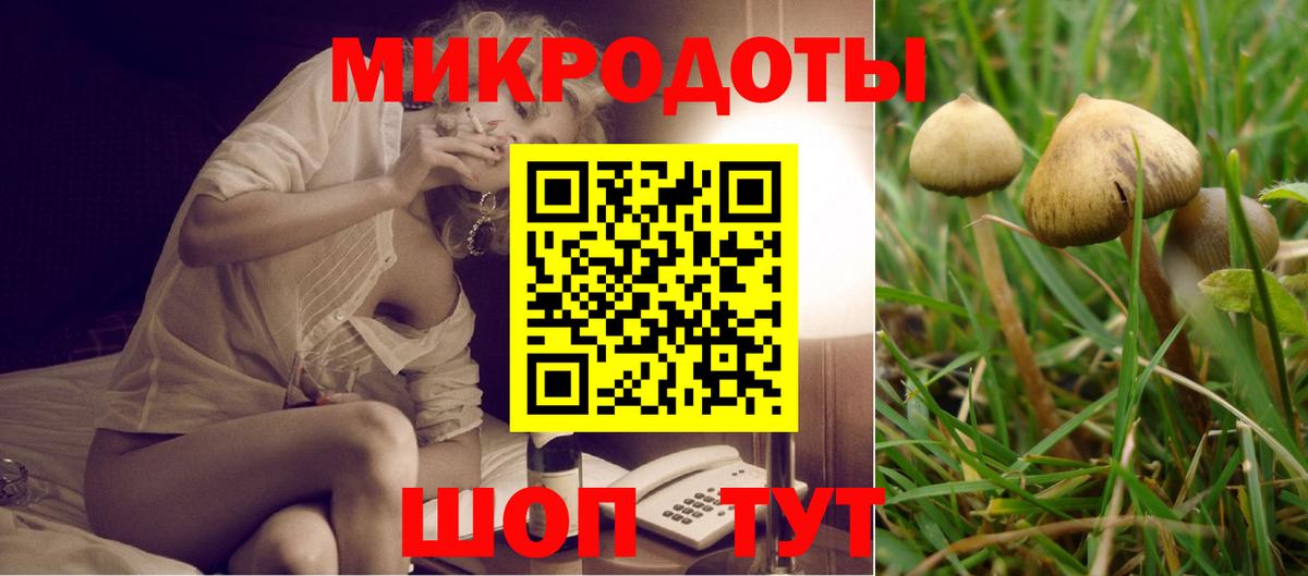 Кувандык  Псилоцибиновые грибы MAGIC MUSHROOMS  Вход с VPN  Галлюциногенные грибы MAGIC MUSHROOMS 